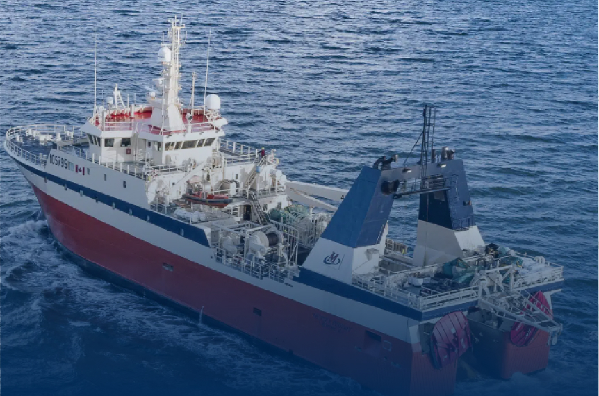 Mersey Phoenix