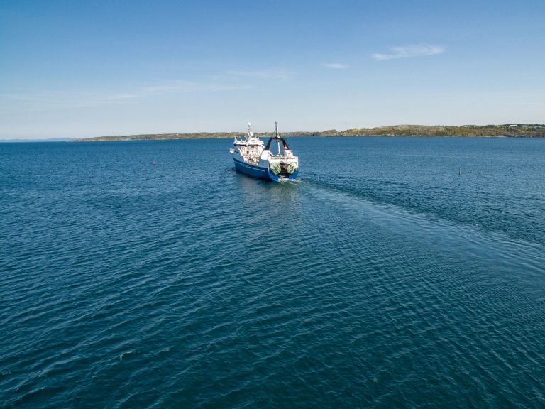 First Offshore Fishery Licence